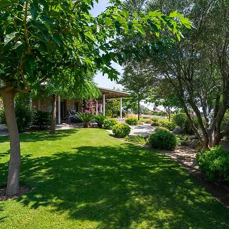 Ammouda * أورموس باناجياس