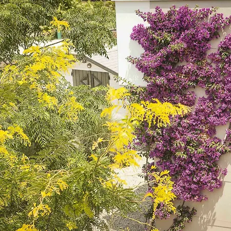 Ammouda * أورموس باناجياس