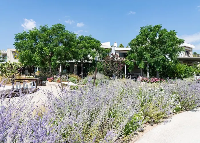 Ammouda * Ормос-Панайяс