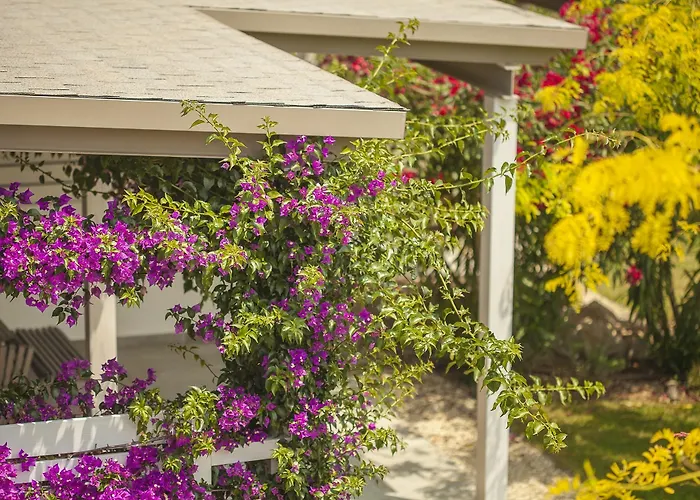 Апартаменты Ammouda *