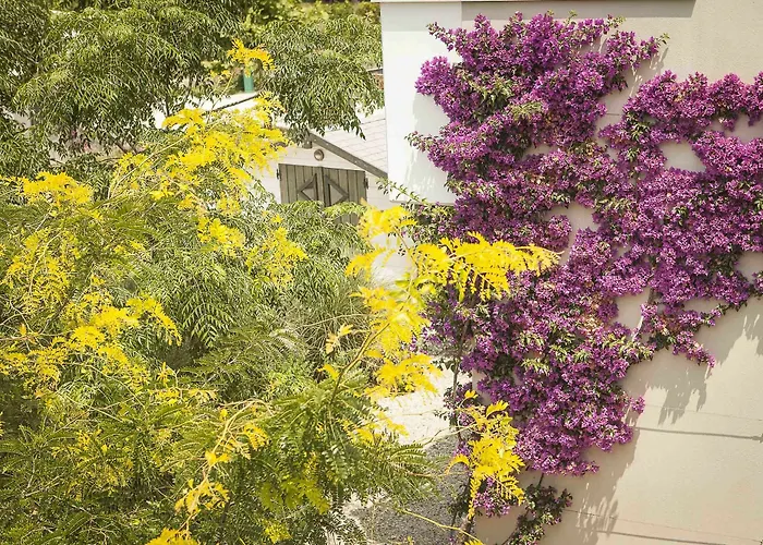 Ammouda * Ормос-Панайяс