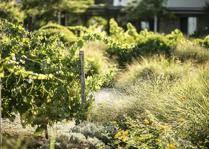 Ammouda Апартаменты Ормос-Панайяс