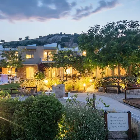 Apartament Ammouda *