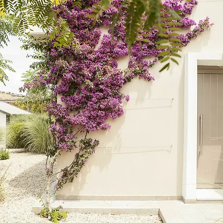 Ammouda Apartament Ormos Panagias