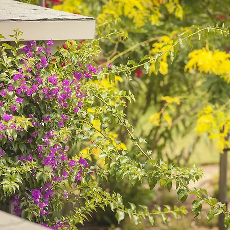 Appartamento Ammouda Ormos Panagias