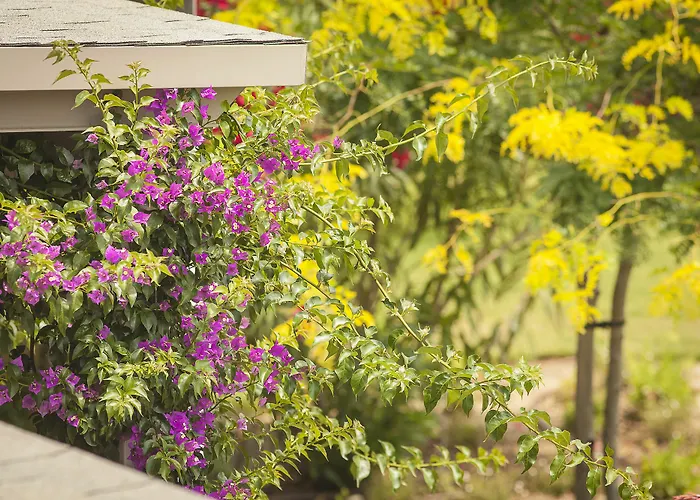 Lejlighed Ammouda Ormos Panagias