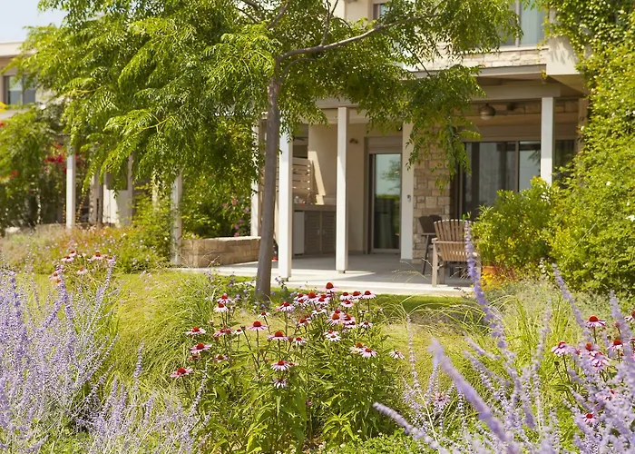 Ammouda * Ormos Panagias