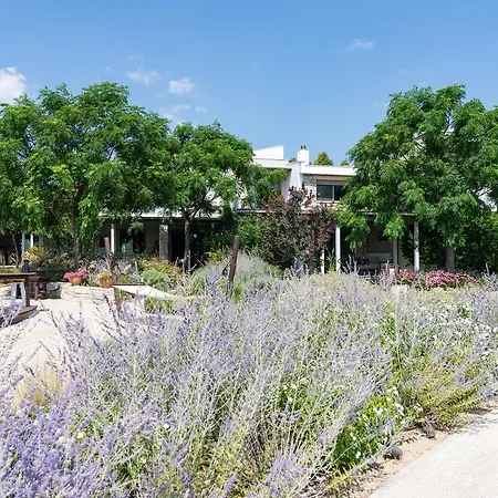 Ammouda * אורמוס פנגיאס