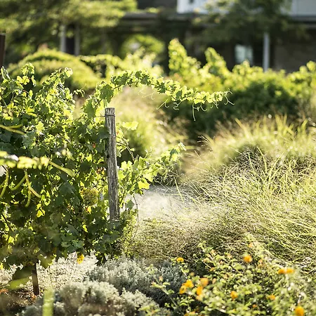 Ammouda דירה אורמוס פנגיאס