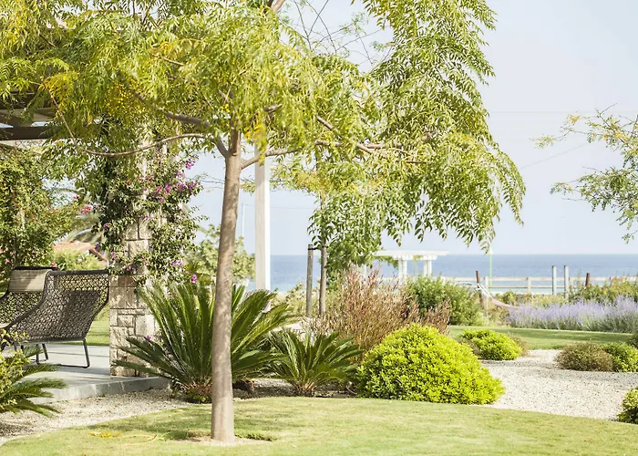 Ammouda Apartament